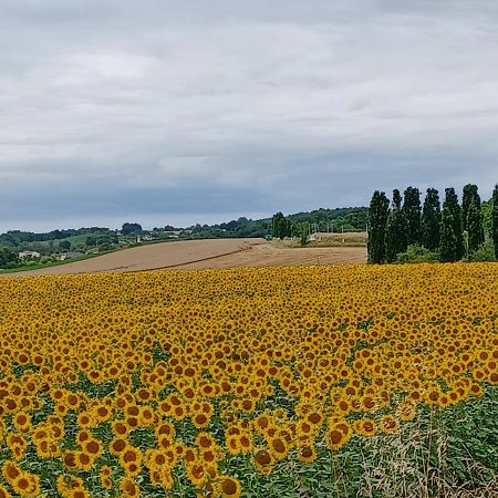Saint-Antoine  Maison Du Bois المظهر الخارجي الصورة